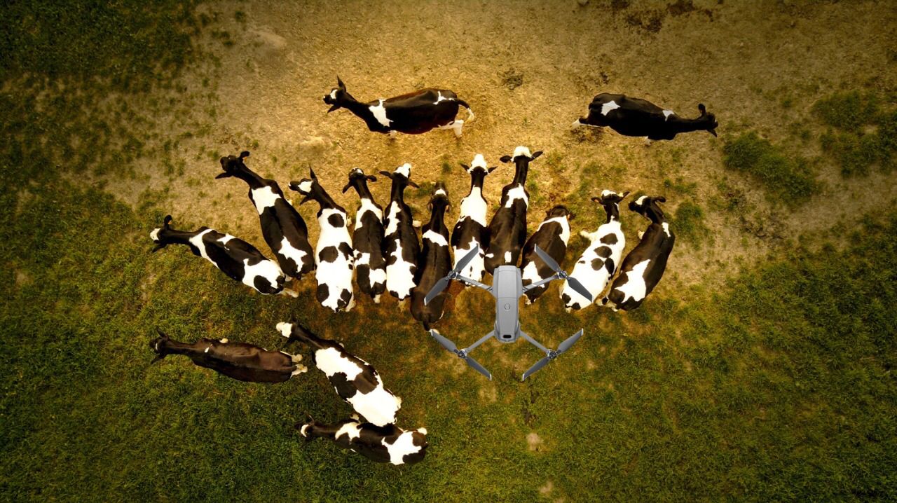 Our Drones